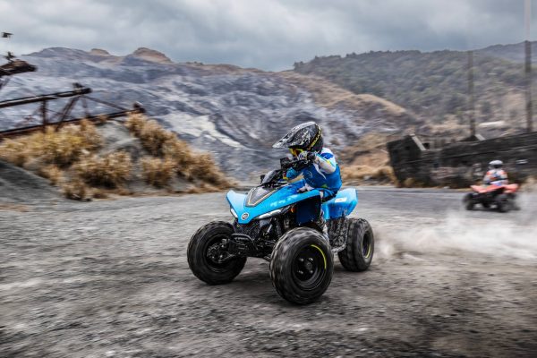 CFORCE 110